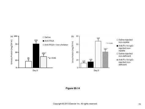 Copyright © 2013 Elsevier Inc All Rights Reserved Ppt Download