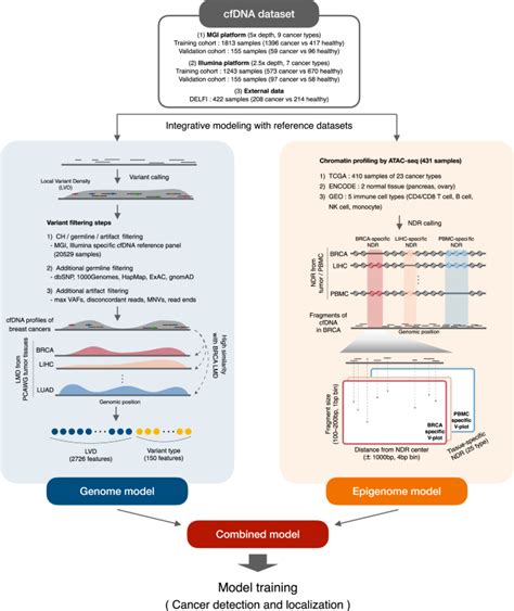 Integrative Modeling Of Tumor Genomes And Epigenomes For Enhanced