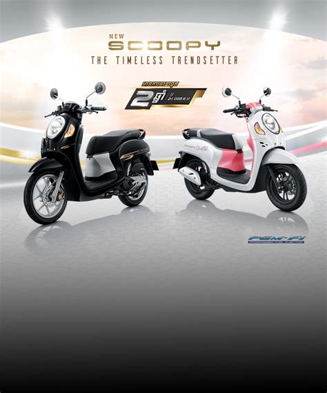 New Honda Scoopy Club Honda Motorcycles