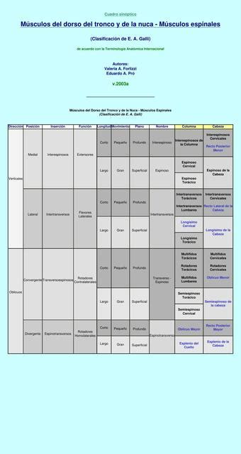 Músculos del Dorso del Tronco y de la Nuca Gisela Muñoz uDocz
