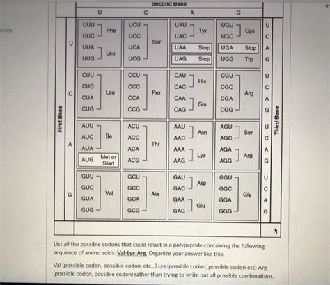Solved Second Base 49 U С А G Uuu Ucu Uau Ugu Rces Phe ] Tyr