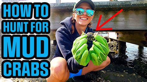 How To Catch Mud Crabs For Sheepshead Red Drum And Black Drum Fishing