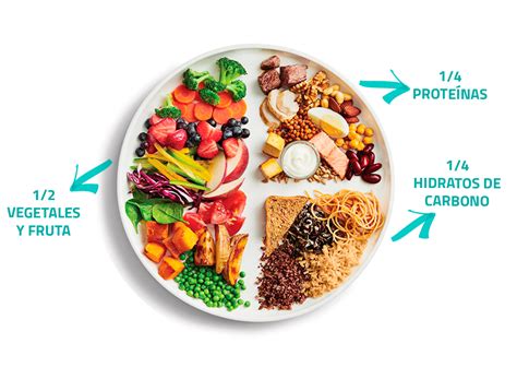 El Plato Harvard El Secreto Para Una Dieta Equilibrada Sakai Sakai