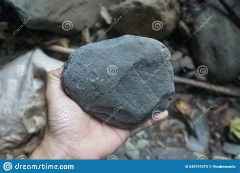 Hand Is Holding A Raw Specimen Of Andesite Extrusive Igneous Rock