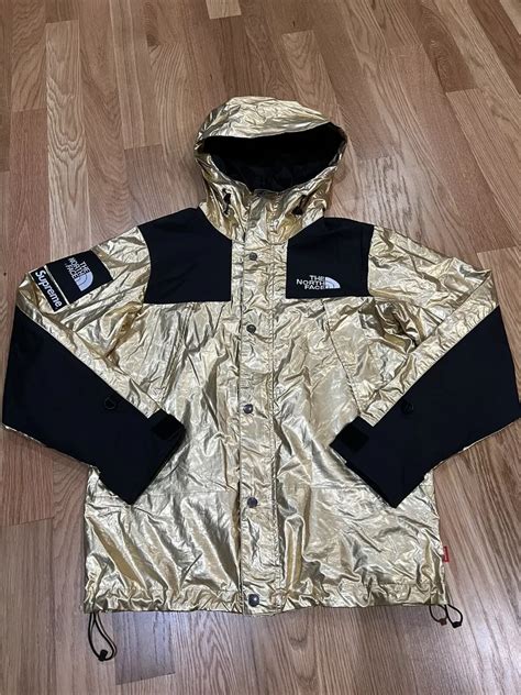 S Supreme The North Face Mountain Parka