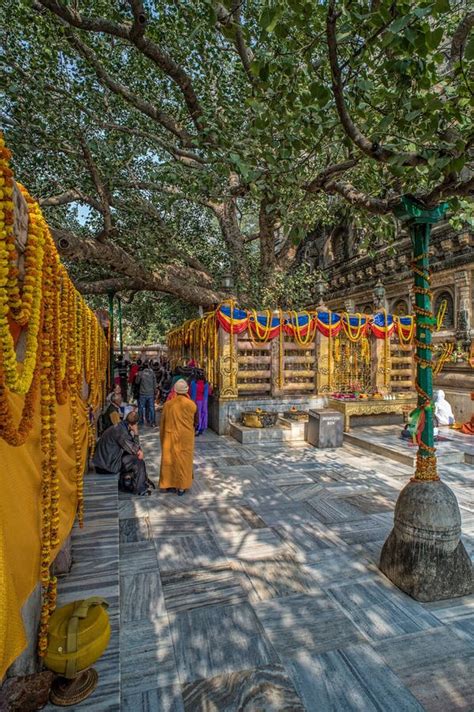 Buddhist Monks At Mahabodhi Tree World Heritage Site Bodh Gaya