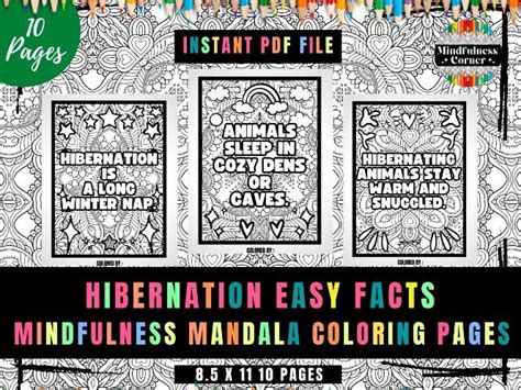 Hibernation Activities Kindergarten Easy Facts Coloring Sheets No Prep Teaching Resources