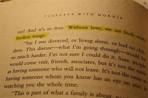 Tuesdays With Morrie Tuesdays With Morrie Quotes About Love And