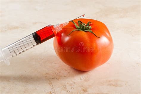 Genetically Modified Tomato, Gmo Stock Image - Image of genetic ...