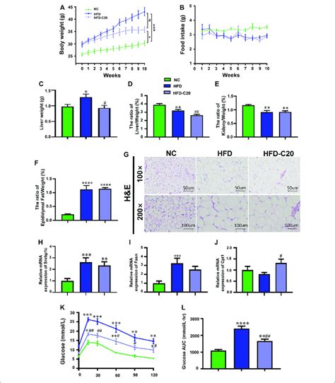 Crocin I Alleviates Growth Phenotypes And Biochemical Index Of