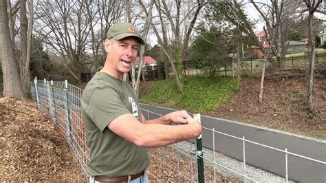 Livestock Cattle Panel Fence Installation in 2023 | Cattle panel fence ...