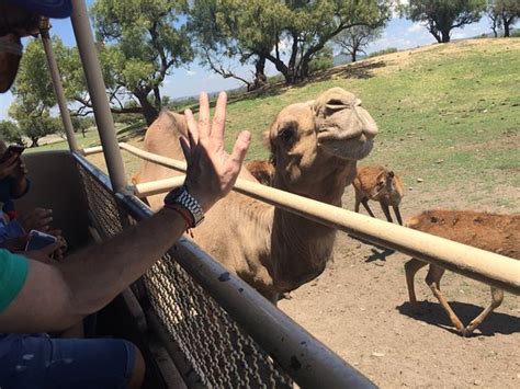 Reino Animal San Juan Teotihuacan Mexico Top Tips Before You Go