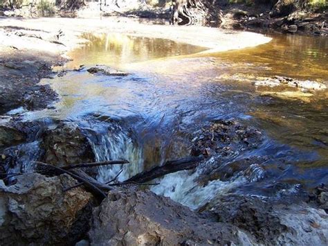 Alapaha River Sink - WWALS Watershed Coalition