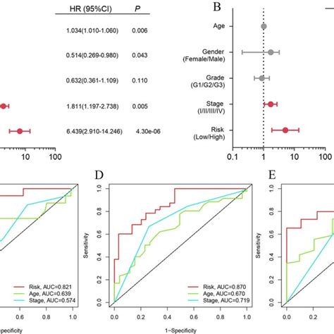 Independent Prognosis Analysis A Univariate Cox Regression Analysis Of