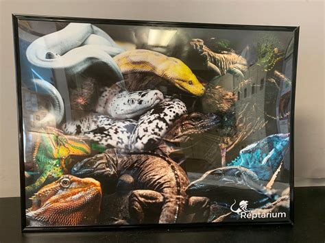 The Reptarium Mural Poster