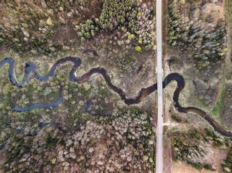 Mois de l eau Dans un milieu humide près de chez vous Organisme de