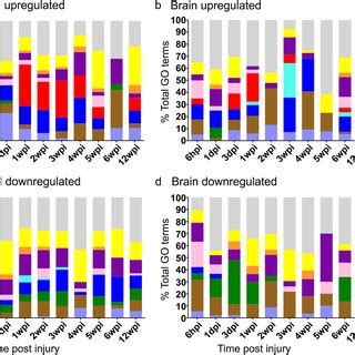 Functions Of Differentially Expressed Genes Stacked Bar Graphs Show