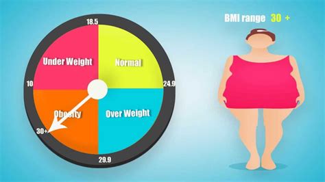 Bmi Calculator For Women And Men And What Is Bmi Youtube