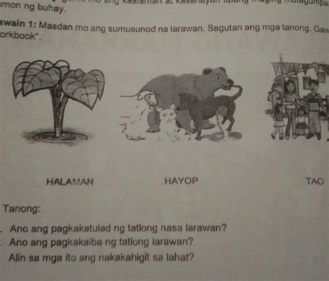 Pahelp Po Yung No And Lng Po Na Answer Ko Na Po Kasi Yung No