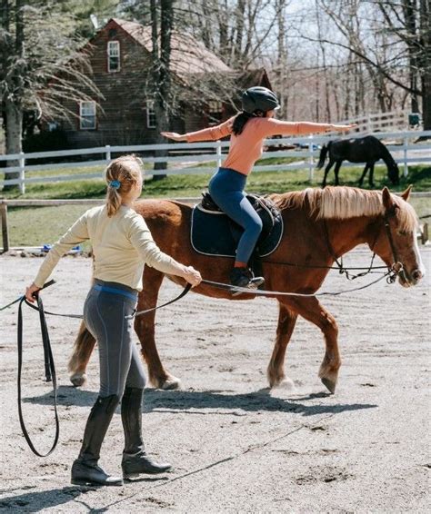 How To Ride A Horse For Beginners Basics Safety Mistakes Artofit