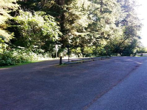 Mora Campground Olympic National Park 01 Campground Views