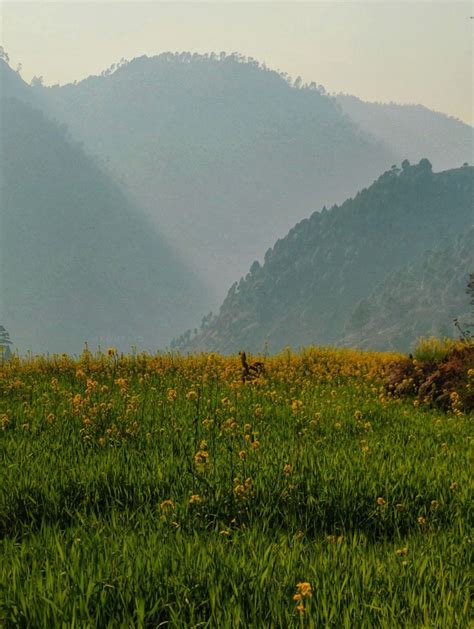 Dulam Village In Kapkot Block Bageshwar Uttarakhand Population