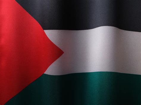 Bandeira da palestina | Foto Premium