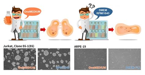 OneMEDIUM GeneDireX Inc