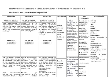 Modelo DE Matriz DE CategorizacióN PARA UNA Cualitativa 1 DEBIDA