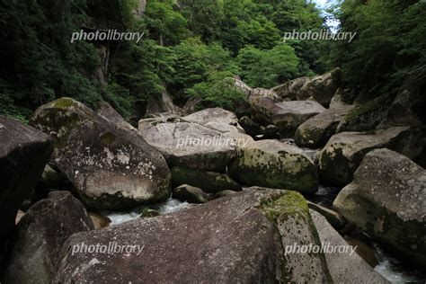 鬼の舌震 水瓶岩 島根県 写真素材 6954562 フォトライブラリー Photolibrary