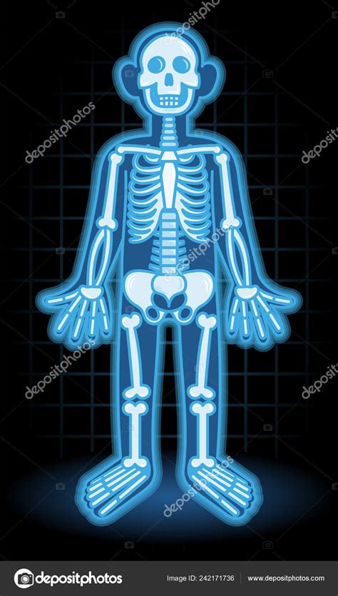X Ray Cartoon
