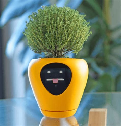 15 Incredible Fun Planters That Will Change Your Gardening Game