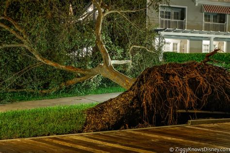 Aftermath Of Hurricane Ian At Disney World All The Damage Done