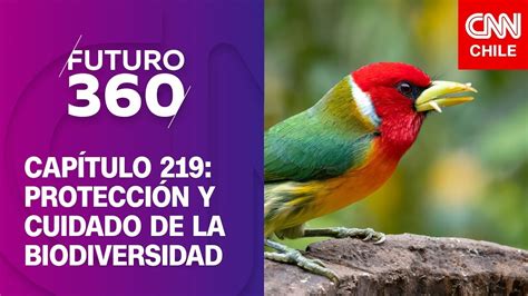 Protección y cuidado de la biodiversidad en Chile Futuro 360