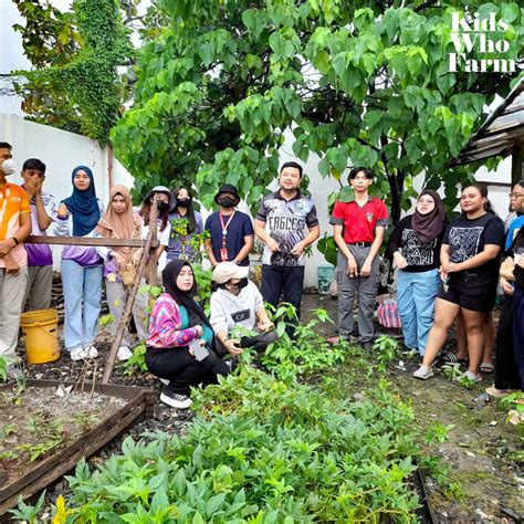 Taro Turned Into Delicacies Now A Hit In Ifugao Market Businessmirror