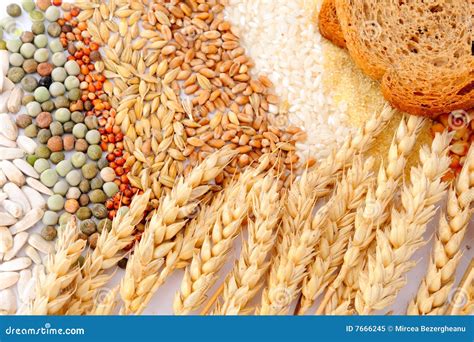 Cereal Seeds And Wheat Ears Royalty Free Stock Photo Image 7666245