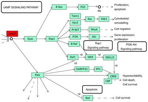 Decreased CRHBP Expression Is Predictive Of Poor Prognosis In Patients