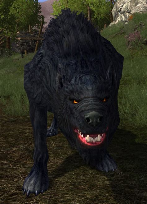 Dell Pack Leader Lotro Wiki