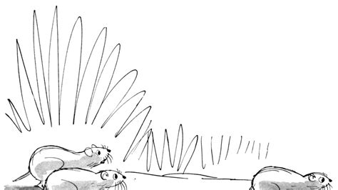 The Cartoon Lounge Trop De Tropes The New Yorker