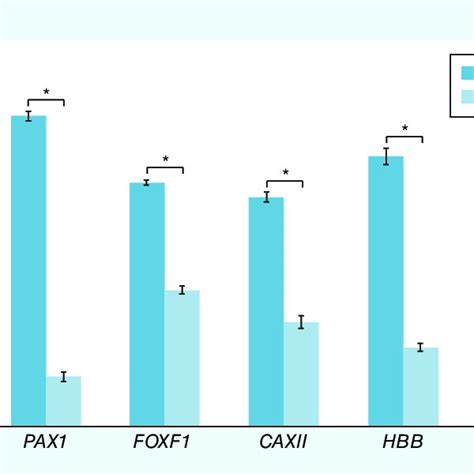 Expression Of Phenotypic Markers Identified In The Human Microarray