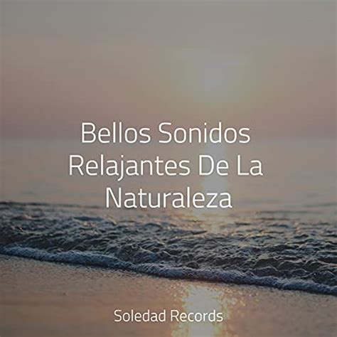 Amazon Music Musica Relajante Para Estudiar Sonidos De La Naturaleza