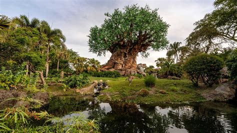 25 Fun Facts About Disneys Animal Kingdom On Its 25th Anniversary