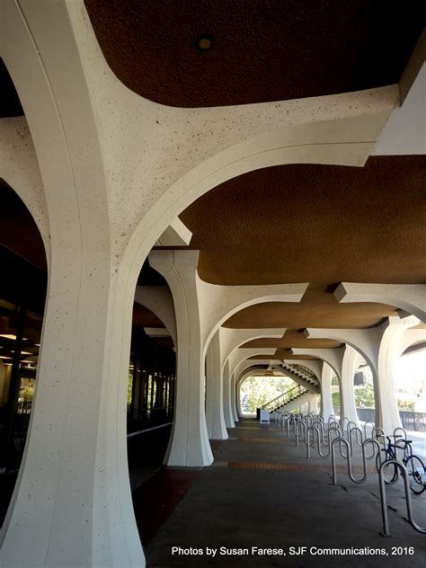 A Photographic Journey through the San Diego State University (SDSU