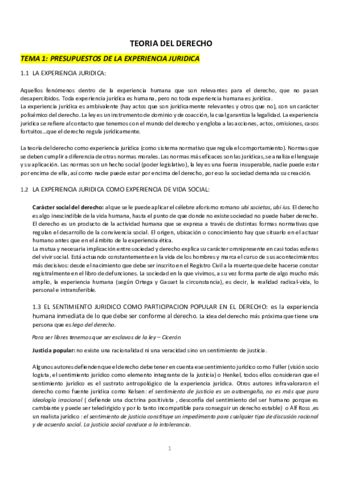 Teoria Del Derecho Apuntes Pdf