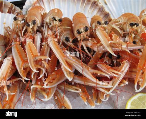 Fishmongers Slab Hi Res Stock Photography And Images Alamy