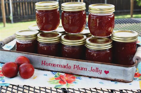 Homemade Plum Jelly — Mommys Kitchen