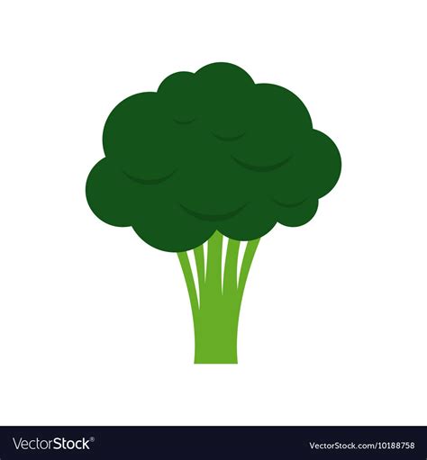 Broccoli Icon Png