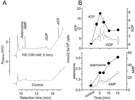 A Putative Osmoreceptor System That Controls Neutrophil Function Through The Release Of Atp Its