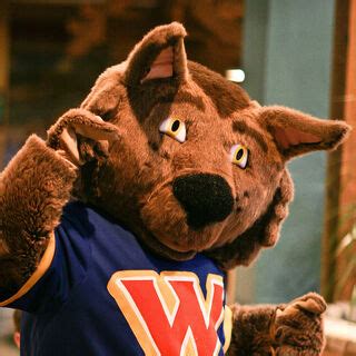 Wiley the Wolf | Great Wolf Lodge Wiki | Fandom