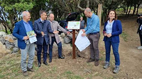 La Foresta Del Montiferru Rinasce Dopo L Incendio Del Notizie